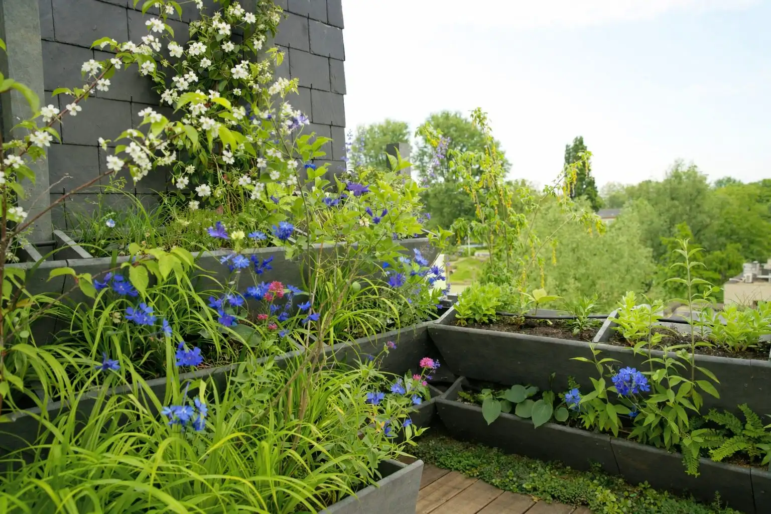 Planted balcony with flowering planters and climbing plants