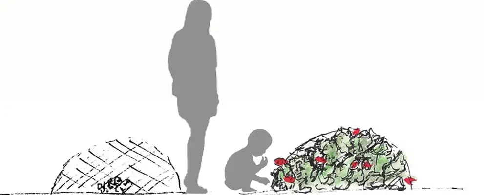 Sketch: an adult and a child next to planted domes