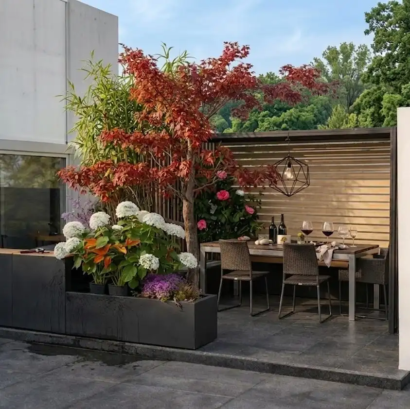 Parisian patio with a red maple and a garden table