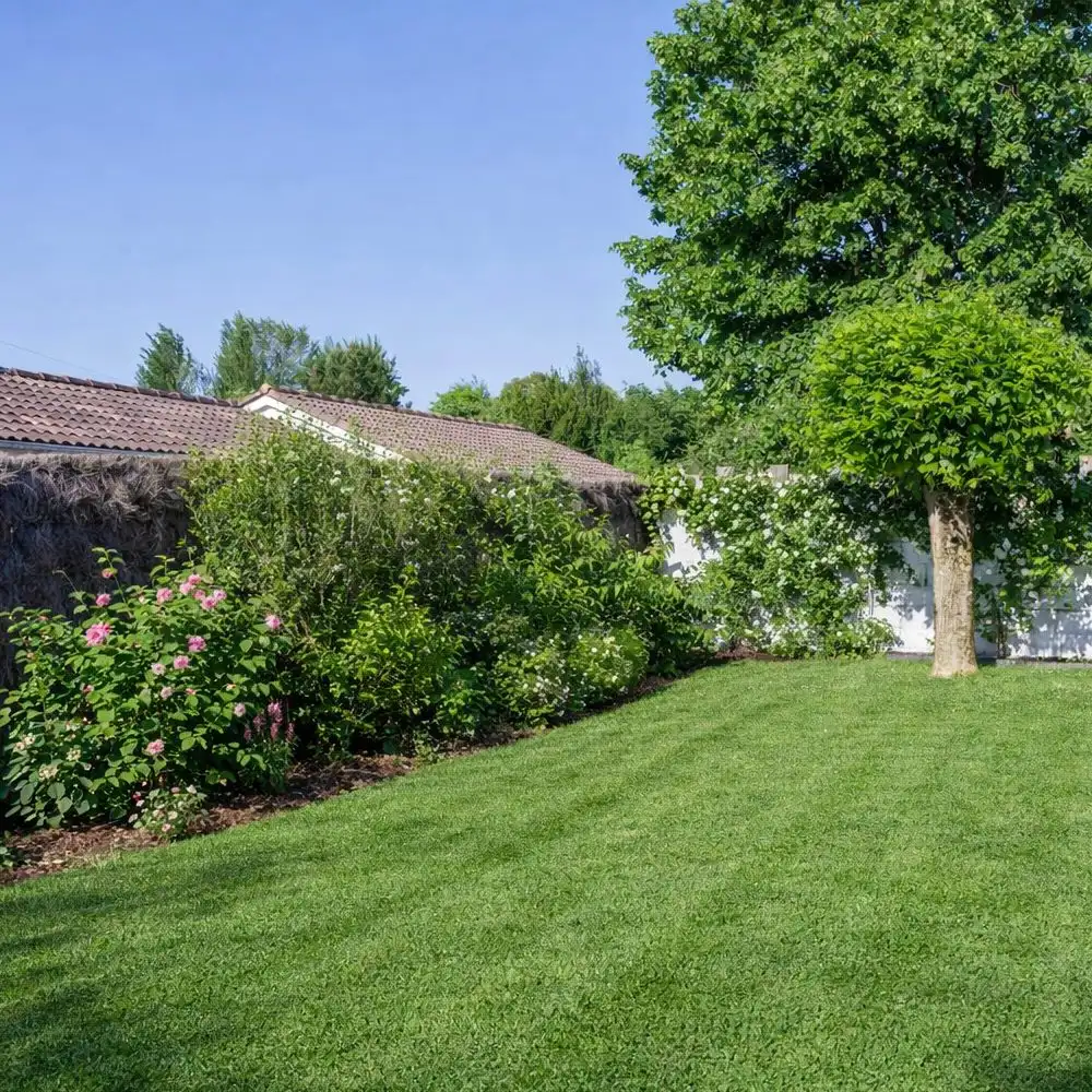 Garden with a lawn, flowering beds and a ball-shaped tree