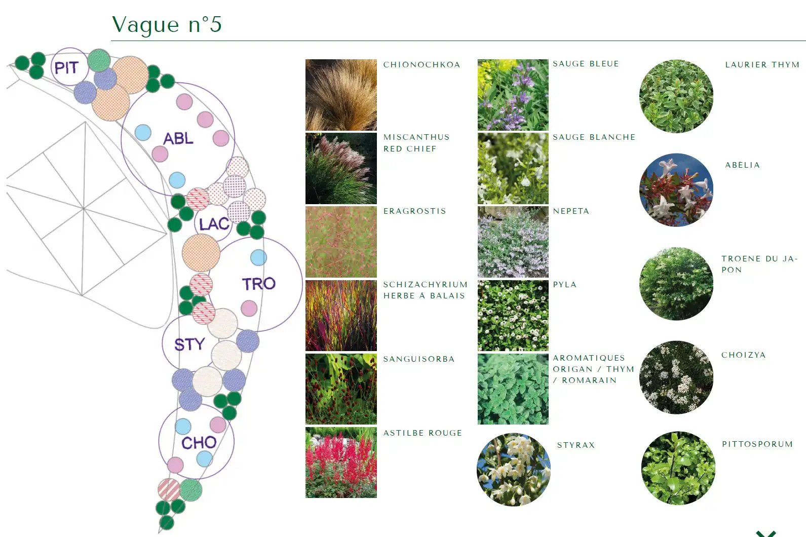 Planting sheet for wave no. 5, with photos of the plants