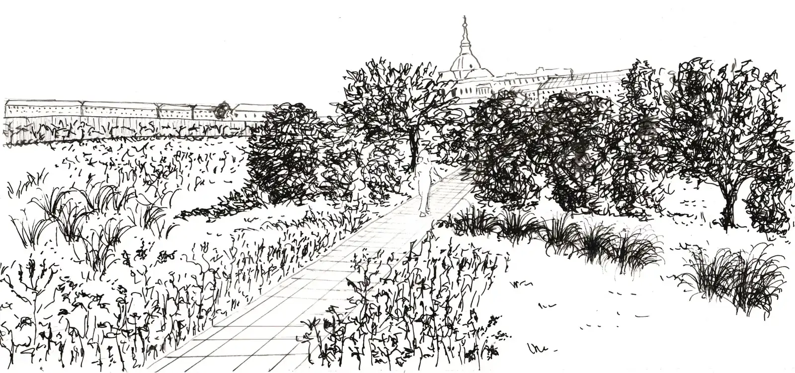 Ink sketch of a planted path, with the town of Versailles behind