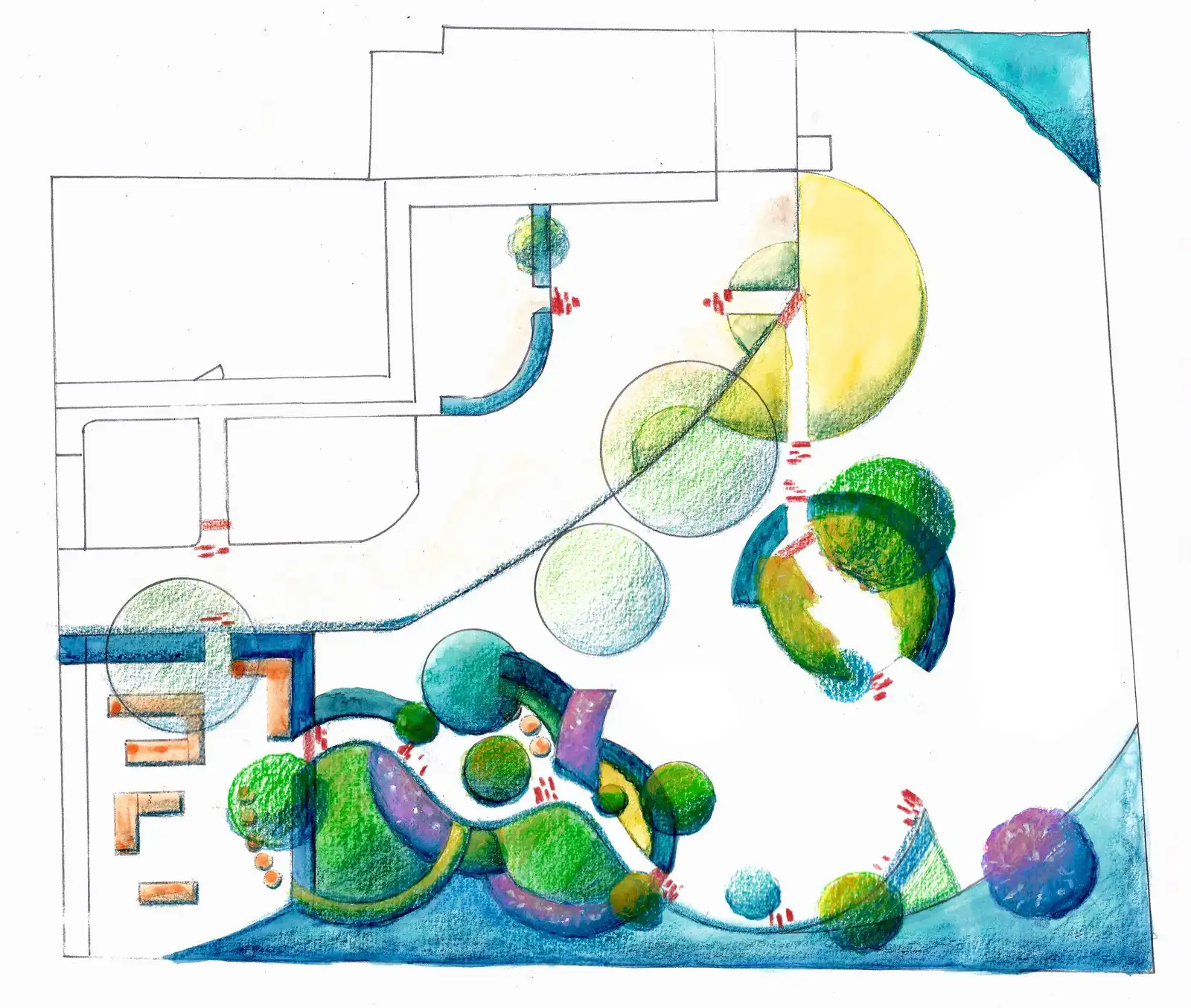 Plan aquarellé d’un jardin aux formes rondes