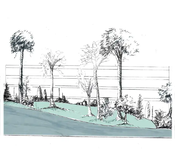 Drawn section of the sloping ground, planted with trees