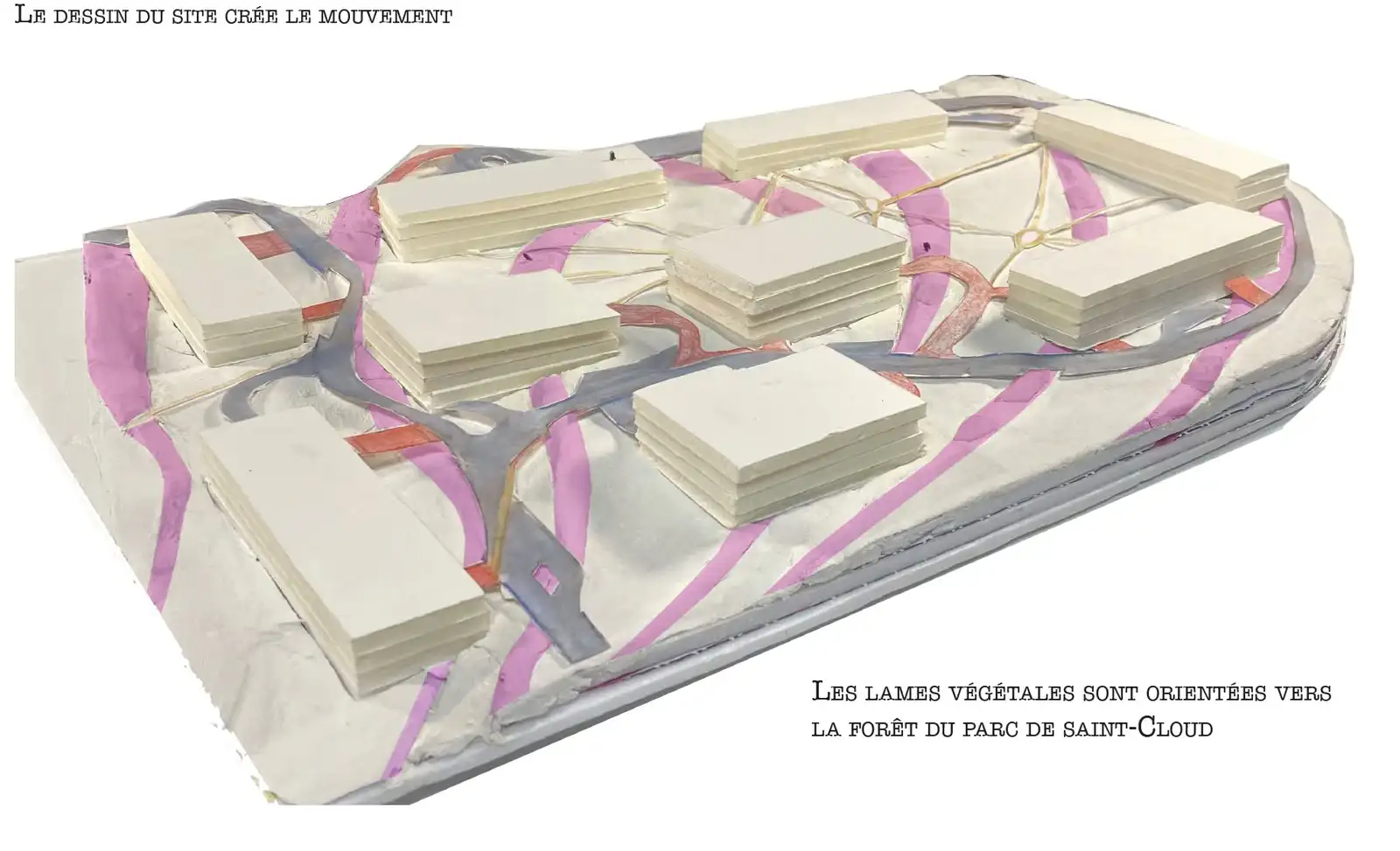 Model of the site: the strips of plants facing the Saint-Cloud forest