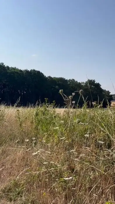 Publication Instagram du 23 juillet 2026 : Parfois, le plus beau geste est de ne rien faire. Il y a des paysages qui n’ont pas besoin d’être dessinés…