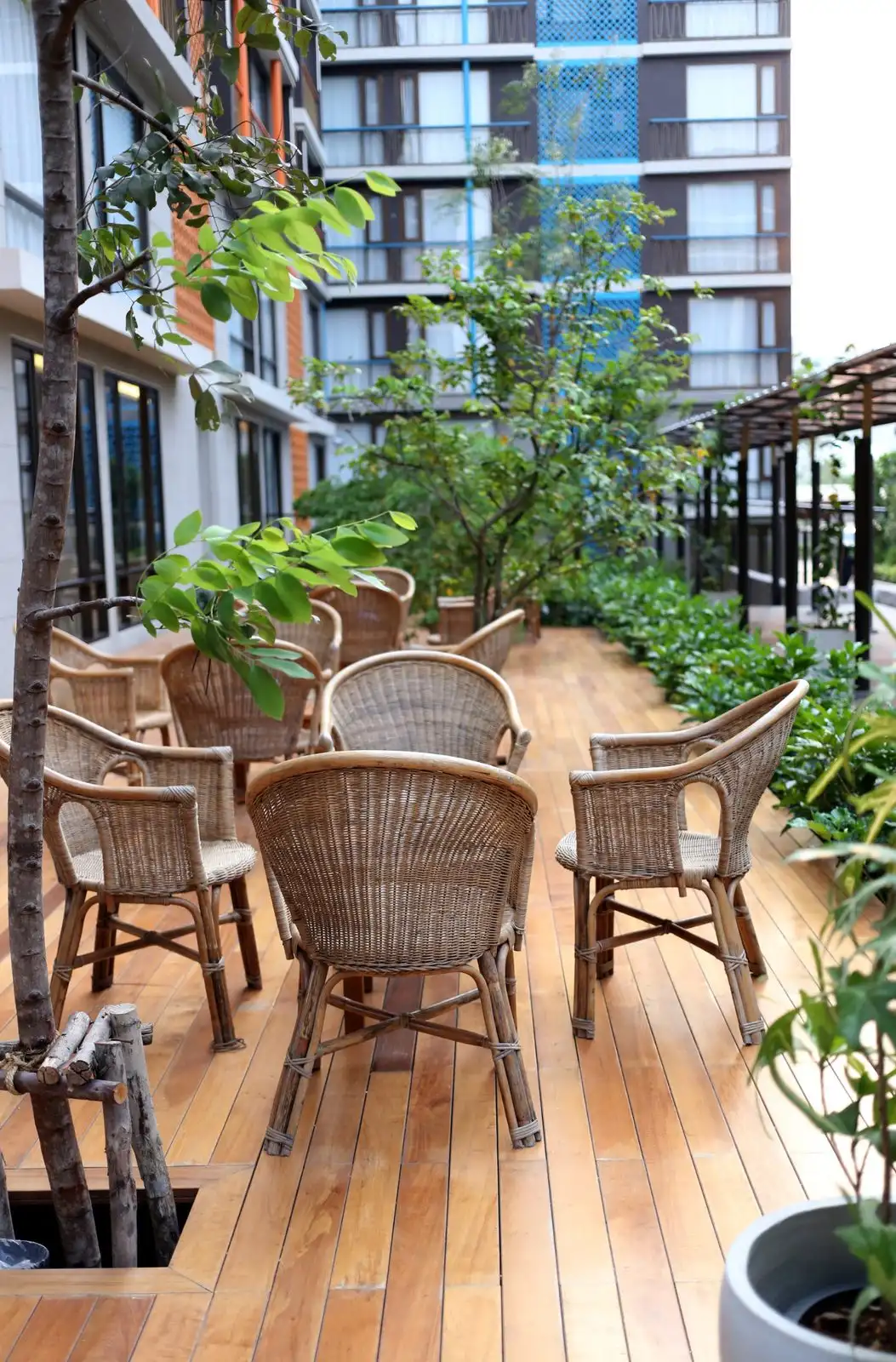 Wooden terrace with rattan armchairs and plants, at the foot of buildings
