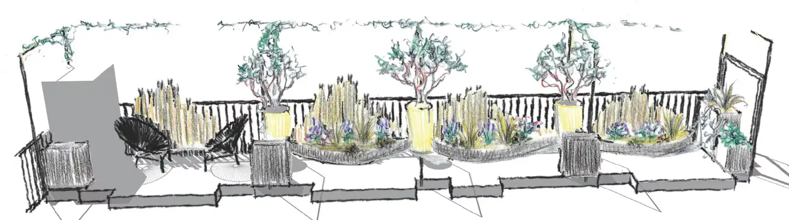 Drawn section of the terrace, with its planters and olive trees
