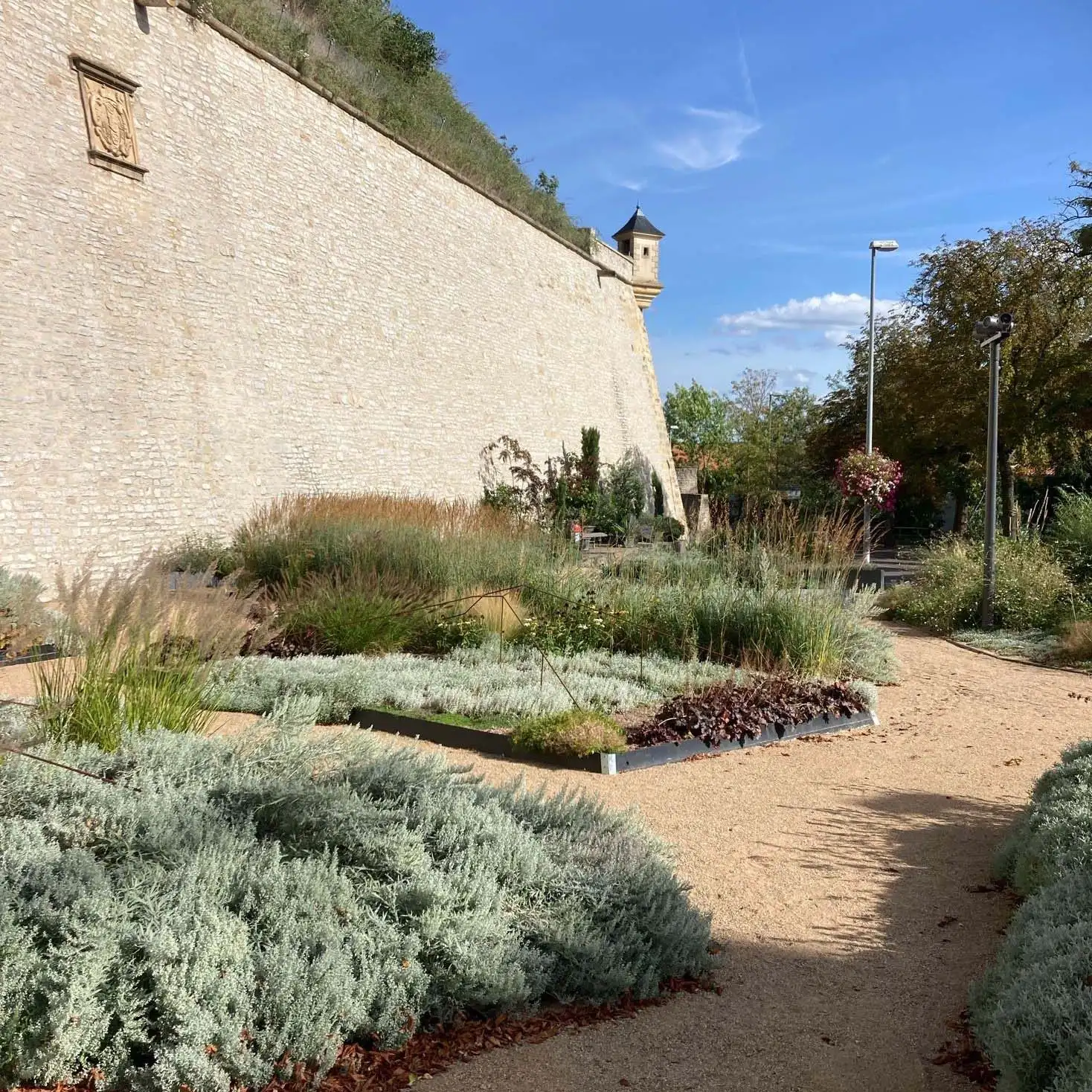 Geometric beds of silvery plants at the foot of the Erfurt citadel