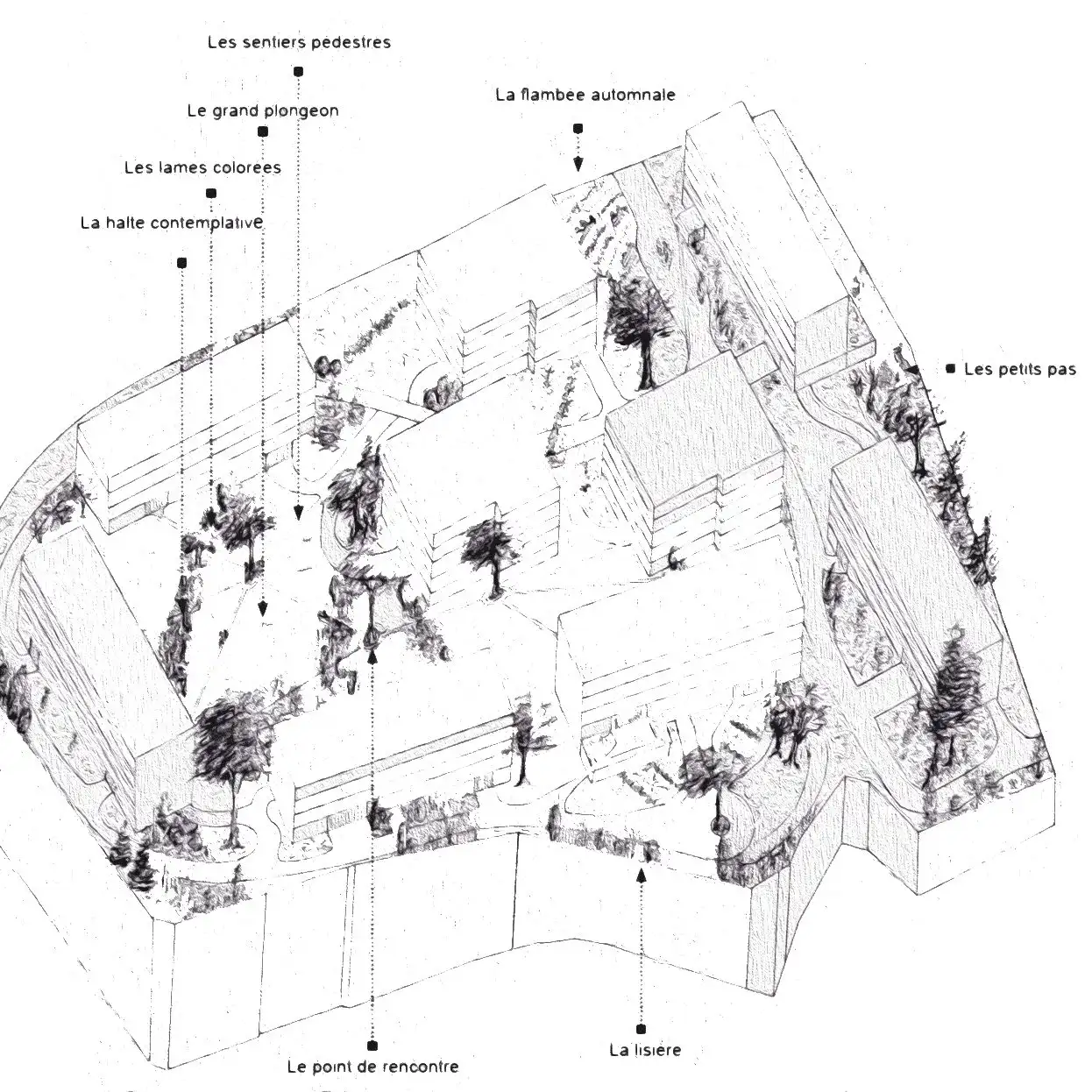 Axonometric drawing of the residence’s park and its areas