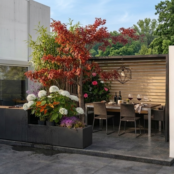 flaurepatioterrasseprojetparis