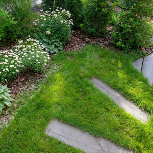 flaurepaysagistecheminementmassifgradignan